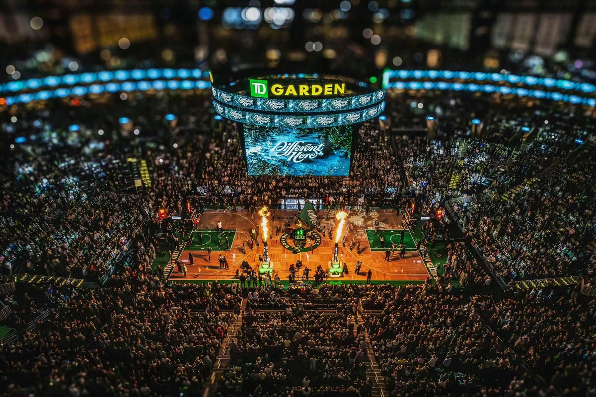 选手画像 选手画像